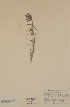  ( - H343067)  @11 [ ] Unspecified (default): All Rights Reserved  Unspecified Unspecified