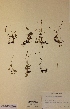  ( - H357771)  @11 [ ] Unspecified (default): All Rights Reserved  Unspecified Unspecified