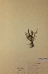 ( - H358112)  @11 [ ] Unspecified (default): All Rights Reserved  Unspecified Unspecified
