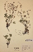  ( - H372741)  @11 [ ] Unspecified (default): All Rights Reserved  Unspecified Unspecified