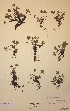  ( - H374630)  @11 [ ] Unspecified (default): All Rights Reserved  Unspecified Unspecified