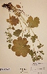  ( - H378742)  @11 [ ] Unspecified (default): All Rights Reserved  Unspecified Unspecified