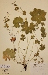  ( - H379035)  @11 [ ] Unspecified (default): All Rights Reserved  Unspecified Unspecified