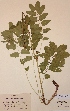  ( - H380169)  @11 [ ] Unspecified (default): All Rights Reserved  Unspecified Unspecified