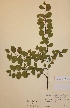  ( - H381577)  @11 [ ] Unspecified (default): All Rights Reserved  Unspecified Unspecified