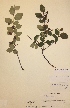  ( - H381717)  @11 [ ] Unspecified (default): All Rights Reserved  Unspecified Unspecified