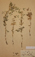  ( - H388181)  @11 [ ] Unspecified (default): All Rights Reserved  Unspecified Unspecified