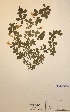  ( - H390867)  @11 [ ] Unspecified (default): All Rights Reserved  Unspecified Unspecified