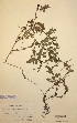  ( - H392101)  @11 [ ] Unspecified (default): All Rights Reserved  Unspecified Unspecified