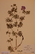  ( - H394425)  @11 [ ] Unspecified (default): All Rights Reserved  Unspecified Unspecified