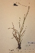  ( - H402726)  @11 [ ] Unspecified (default): All Rights Reserved  Unspecified Unspecified