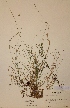  ( - H402821)  @11 [ ] Unspecified (default): All Rights Reserved  Unspecified Unspecified