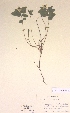  ( - H409450)  @11 [ ] Unspecified (default): All Rights Reserved  Unspecified Unspecified