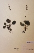  ( - H413963)  @11 [ ] Unspecified (default): All Rights Reserved  Unspecified Unspecified