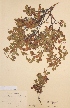  ( - H415748)  @11 [ ] Unspecified (default): All Rights Reserved  Unspecified Unspecified