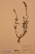  ( - H426954)  @11 [ ] Unspecified (default): All Rights Reserved  Unspecified Unspecified