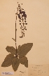  ( - H428904)  @11 [ ] Unspecified (default): All Rights Reserved  Unspecified Unspecified