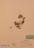  ( - H429195)  @11 [ ] Unspecified (default): All Rights Reserved  Unspecified Unspecified