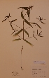  ( - H434458)  @11 [ ] Unspecified (default): All Rights Reserved  Unspecified Unspecified