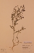  ( - H436049)  @11 [ ] Unspecified (default): All Rights Reserved  Unspecified Unspecified