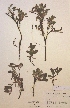  ( - H437471)  @11 [ ] Unspecified (default): All Rights Reserved  Unspecified Unspecified