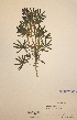  ( - H439353)  @11 [ ] Unspecified (default): All Rights Reserved  Unspecified Unspecified