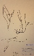  ( - H440096)  @11 [ ] Unspecified (default): All Rights Reserved  Unspecified Unspecified