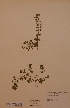  ( - H440099)  @11 [ ] Unspecified (default): All Rights Reserved  Unspecified Unspecified