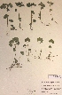  ( - H443533)  @11 [ ] Unspecified (default): All Rights Reserved  Unspecified Unspecified