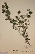  ( - H446438)  @11 [ ] Unspecified (default): All Rights Reserved  Unspecified Unspecified