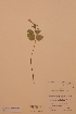  ( - H449486)  @11 [ ] Unspecified (default): All Rights Reserved  Unspecified Unspecified