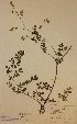  ( - H449613)  @11 [ ] Unspecified (default): All Rights Reserved  Unspecified Unspecified