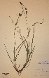  ( - H458723)  @11 [ ] Unspecified (default): All Rights Reserved  Unspecified Unspecified