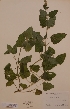  ( - H462215)  @11 [ ] Unspecified (default): All Rights Reserved  Unspecified Unspecified