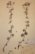  ( - H466613)  @11 [ ] Unspecified (default): All Rights Reserved  Unspecified Unspecified