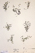  ( - H466988)  @11 [ ] Unspecified (default): All Rights Reserved  Unspecified Unspecified