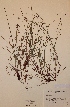  ( - H475806)  @11 [ ] Unspecified (default): All Rights Reserved  Unspecified Unspecified