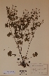  ( - H502105)  @11 [ ] Unspecified (default): All Rights Reserved  Unspecified Unspecified