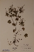  ( - H502138)  @11 [ ] Unspecified (default): All Rights Reserved  Unspecified Unspecified