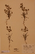  ( - H516027)  @11 [ ] Unspecified (default): All Rights Reserved  Unspecified Unspecified