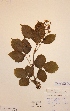  ( - H530055)  @11 [ ] Unspecified (default): All Rights Reserved  Unspecified Unspecified
