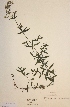  ( - H534308)  @11 [ ] Unspecified (default): All Rights Reserved  Unspecified Unspecified