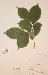  ( - H540802)  @11 [ ] Unspecified (default): All Rights Reserved  Unspecified Unspecified