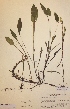  ( - H545969)  @11 [ ] Unspecified (default): All Rights Reserved  Unspecified Unspecified