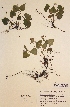  ( - H549173)  @11 [ ] Unspecified (default): All Rights Reserved  Unspecified Unspecified