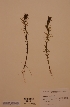  ( - H549440)  @11 [ ] Unspecified (default): All Rights Reserved  Unspecified Unspecified