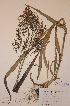  ( - H552774)  @11 [ ] Unspecified (default): All Rights Reserved  Unspecified Unspecified