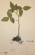  ( - H554229)  @11 [ ] Unspecified (default): All Rights Reserved  Unspecified Unspecified