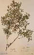  ( - H558393)  @11 [ ] Unspecified (default): All Rights Reserved  Unspecified Unspecified