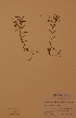  ( - H563047)  @11 [ ] Unspecified (default): All Rights Reserved  Unspecified Unspecified